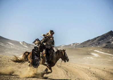 Seeing the world through a different lens for riding your leg.